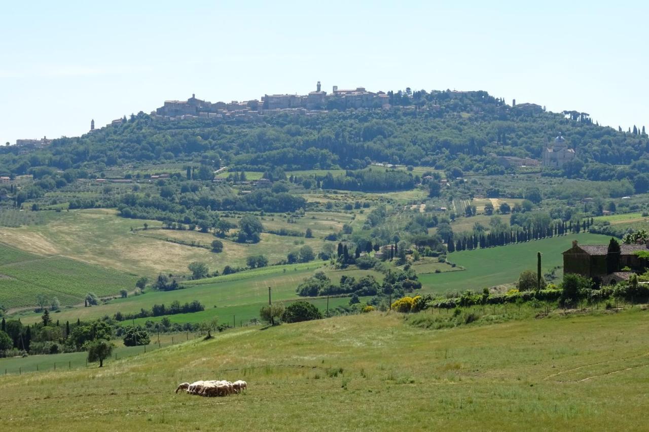 Cugusi * Montepulciano Stazione